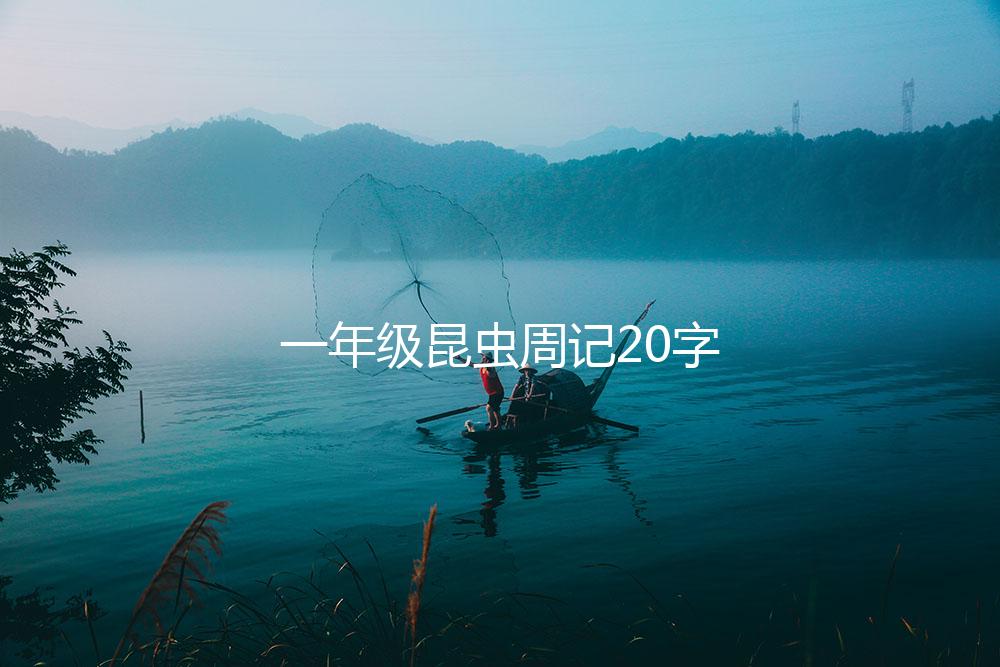 一年级昆虫周记20字