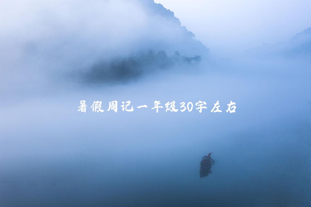 暑假周记一年级30字左右