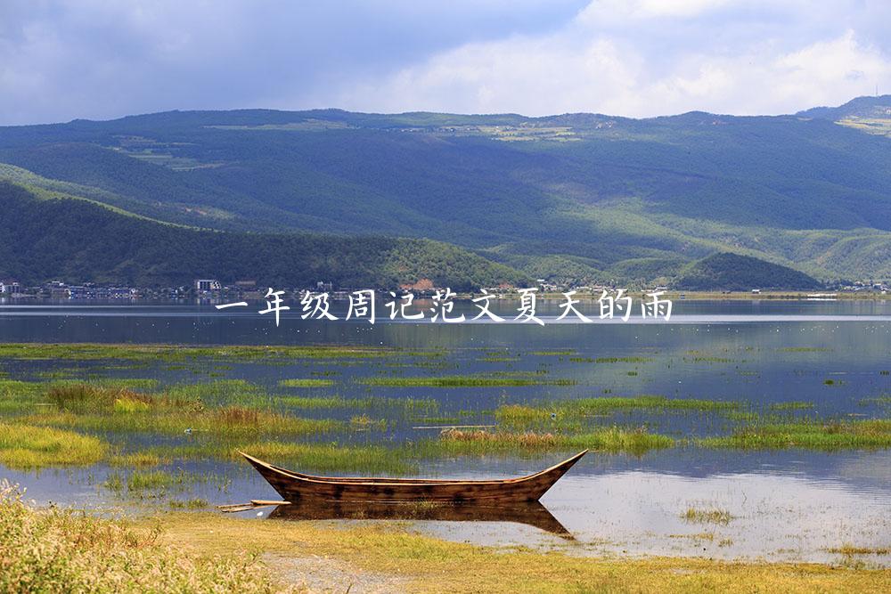 一年级周记范文夏天的雨