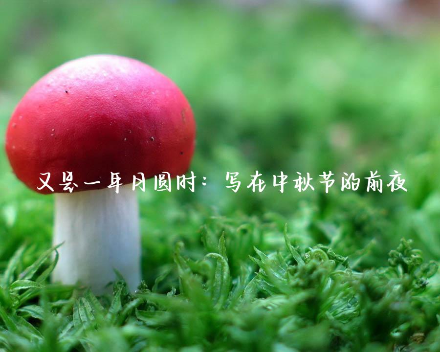 又是一年月圆时：写在中秋节的前夜