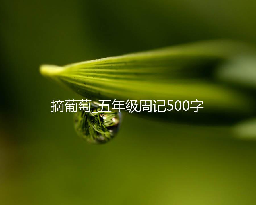 摘葡萄_五年级周记500字