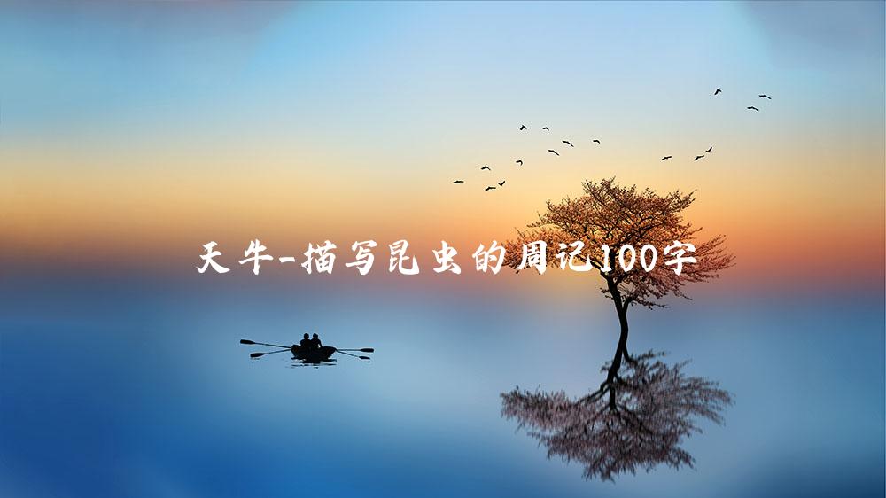 天牛_描写昆虫的周记100字