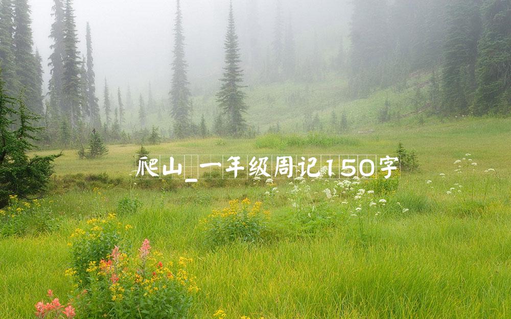 爬山_一年级周记150字