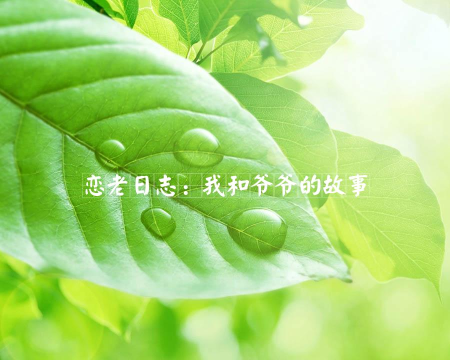 恋老日志：我和爷爷的故事