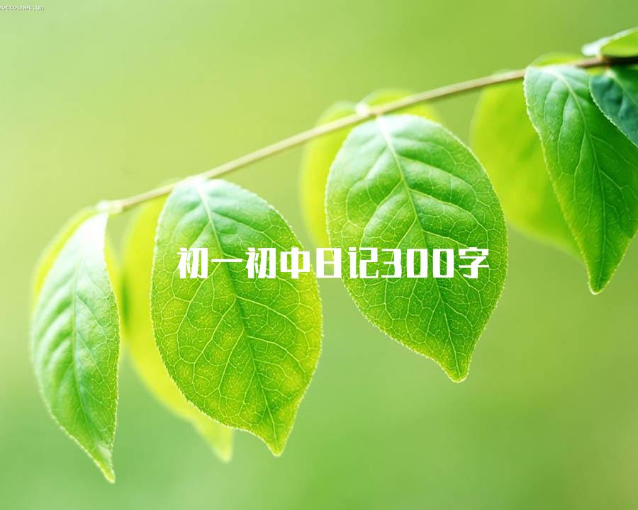 初一初中日记300字