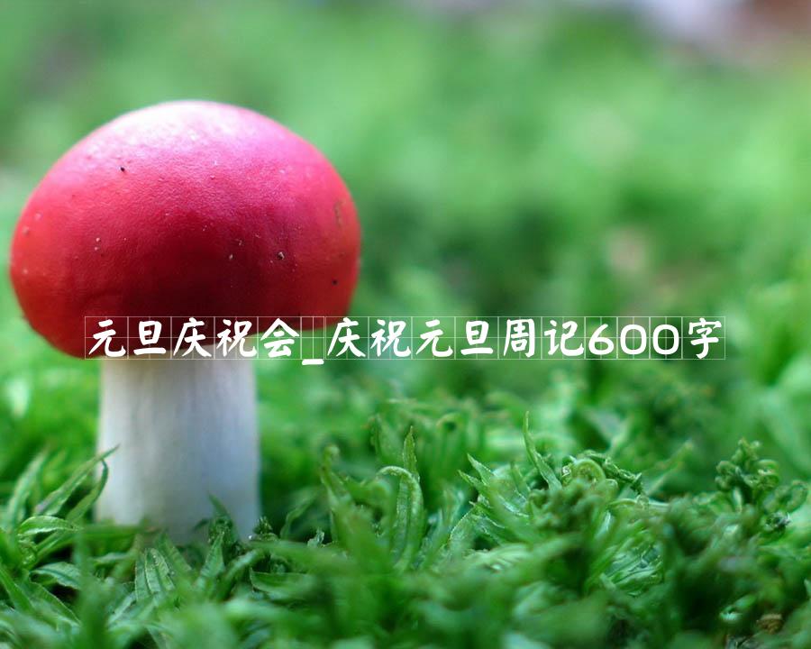 元旦庆祝会_庆祝元旦周记600字