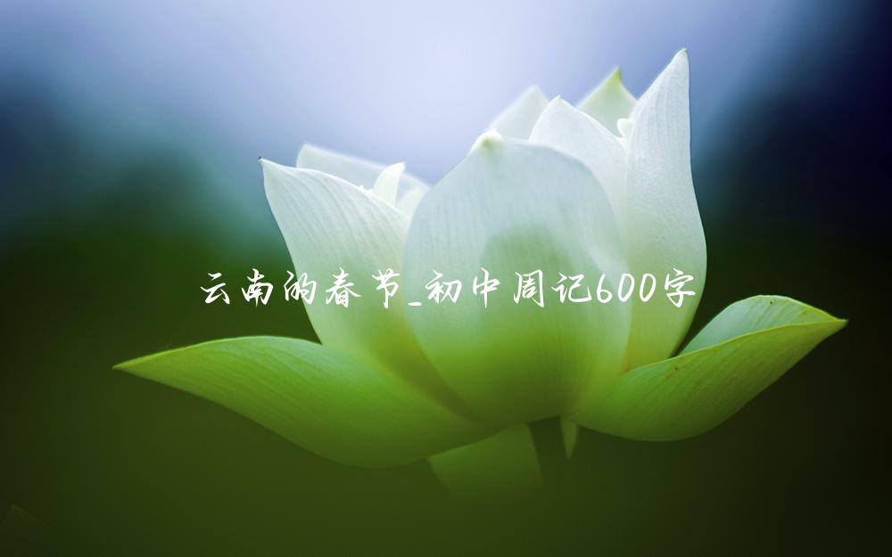 云南的春节_初中周记600字