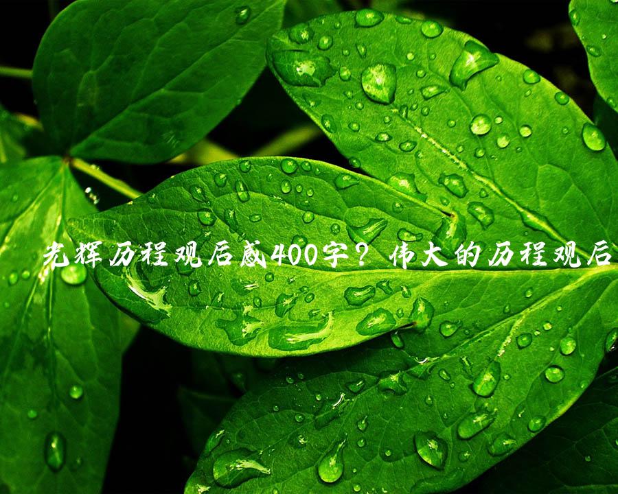 光辉历程观后感400字？伟大的历程观后感500字