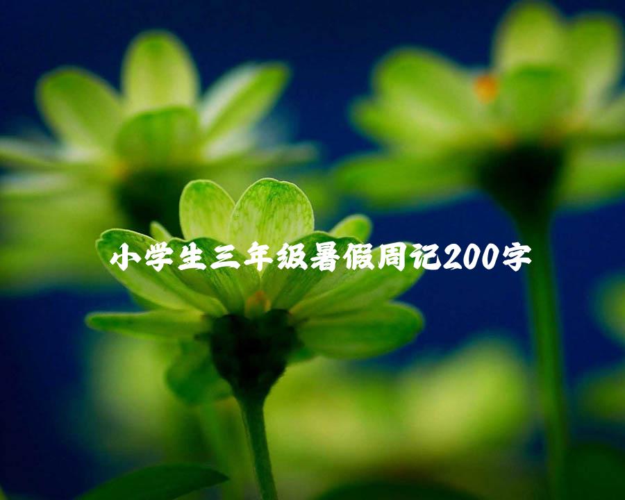 小学生三年级暑假周记200字