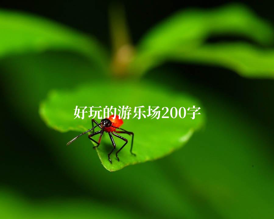 好玩的游乐场200字