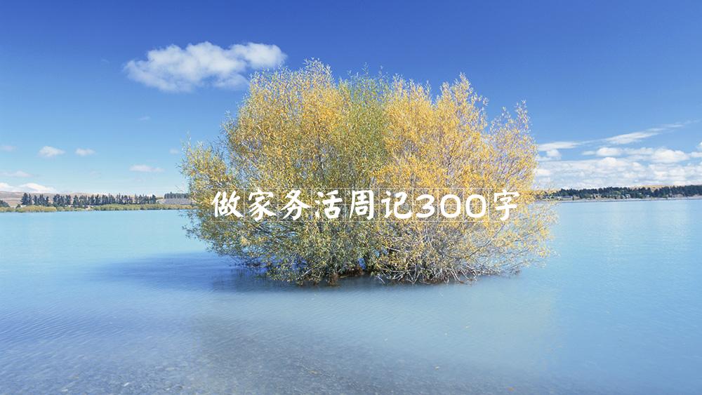 做家务活周记300字