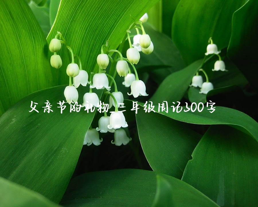 父亲节的礼物_三年级周记300字