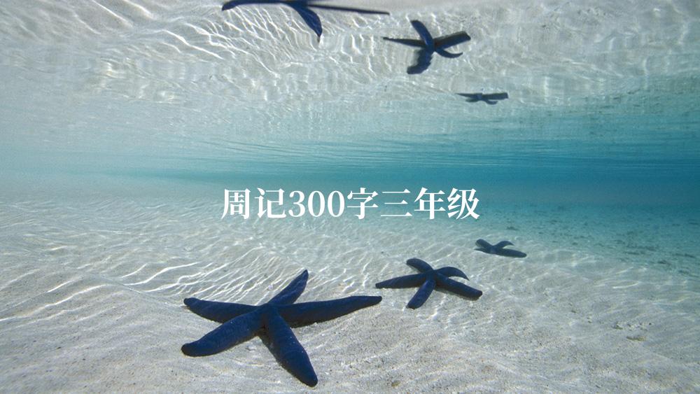 周记300字三年级