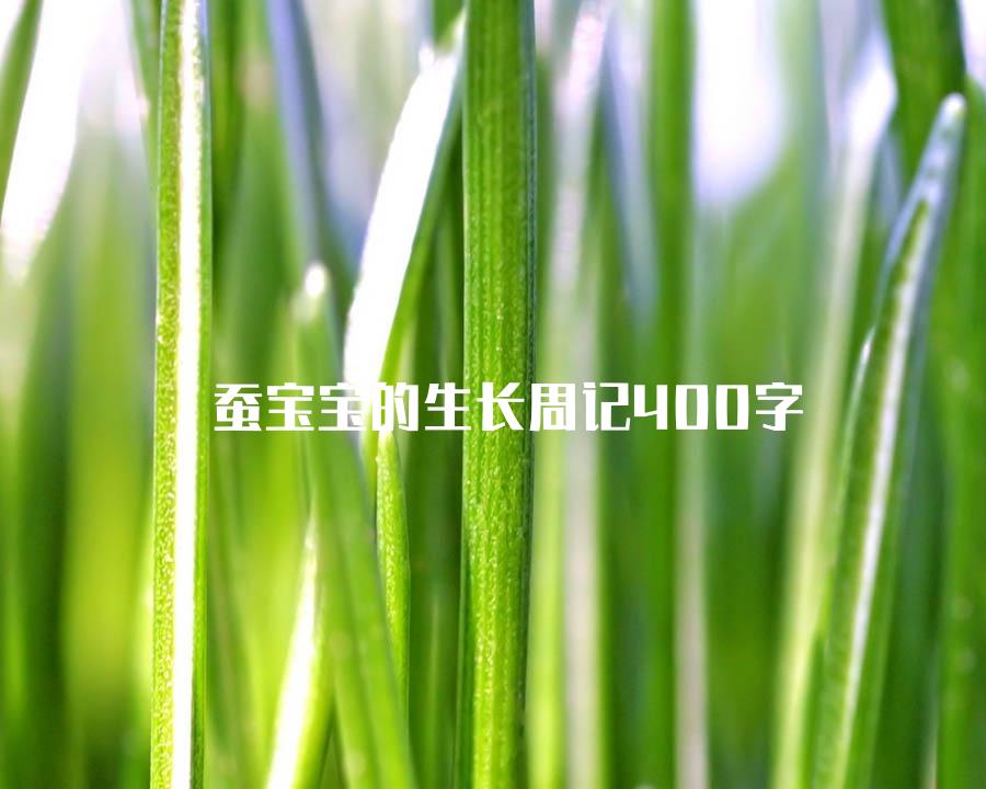 蚕宝宝的生长周记400字