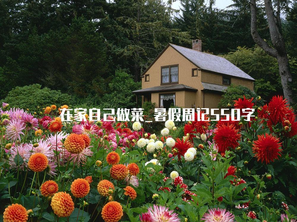 在家自己做菜_暑假周记550字