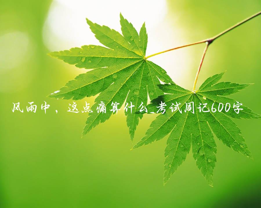 风雨中，这点痛算什么_考试周记600字