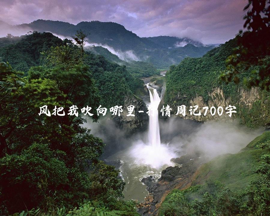 风把我吹向哪里_抒情周记700字