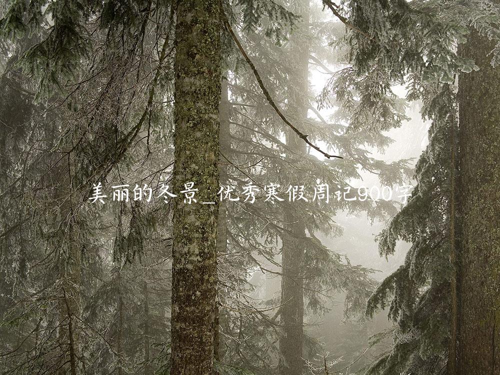 美丽的冬景_优秀寒假周记900字