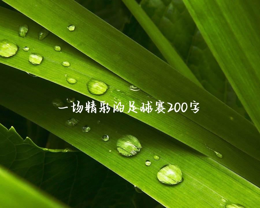 一场精彩的足球赛200字