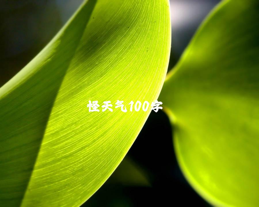 怪天气100字