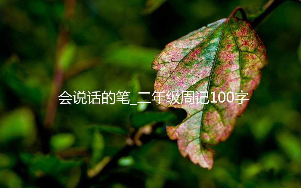 会说话的笔_二年级周记100字