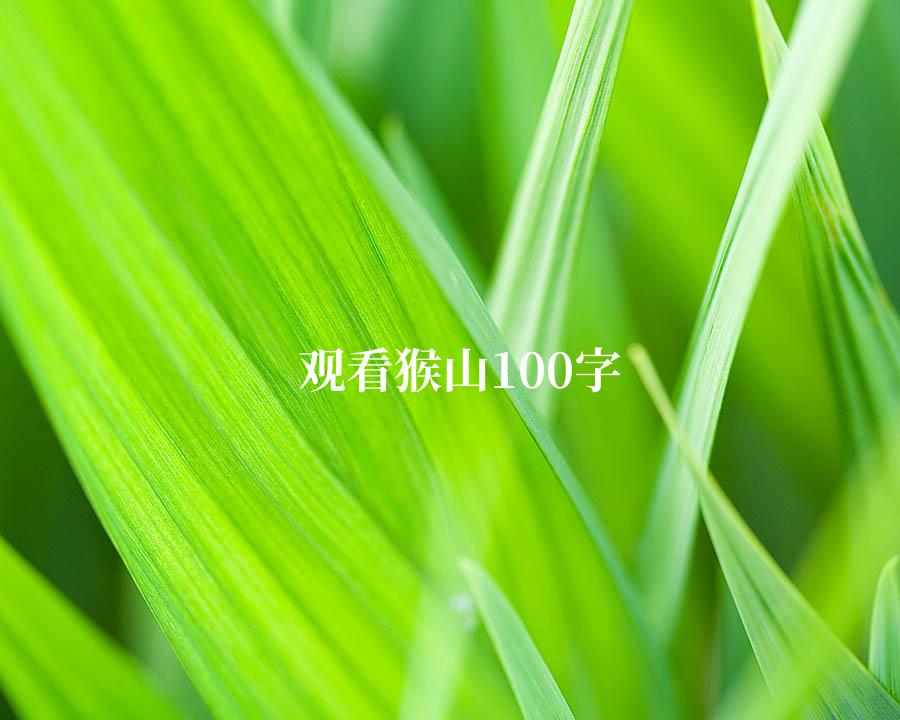 观看猴山100字