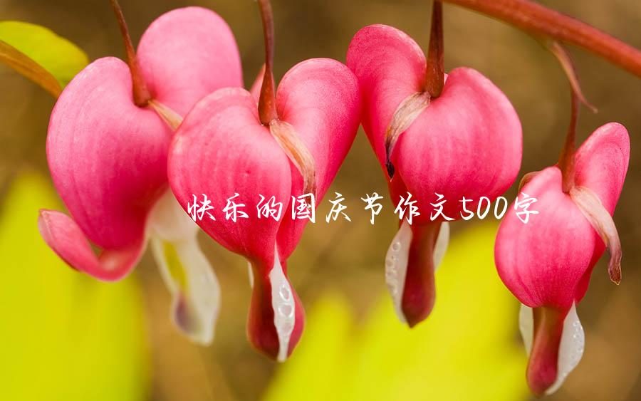 快乐的国庆节作文500字