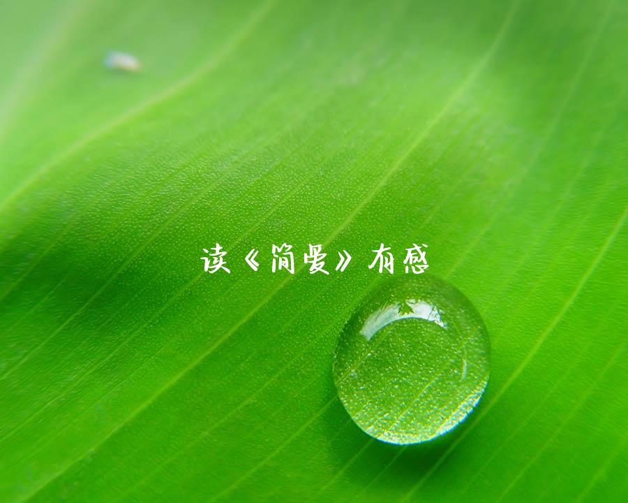 读《简爱》有感