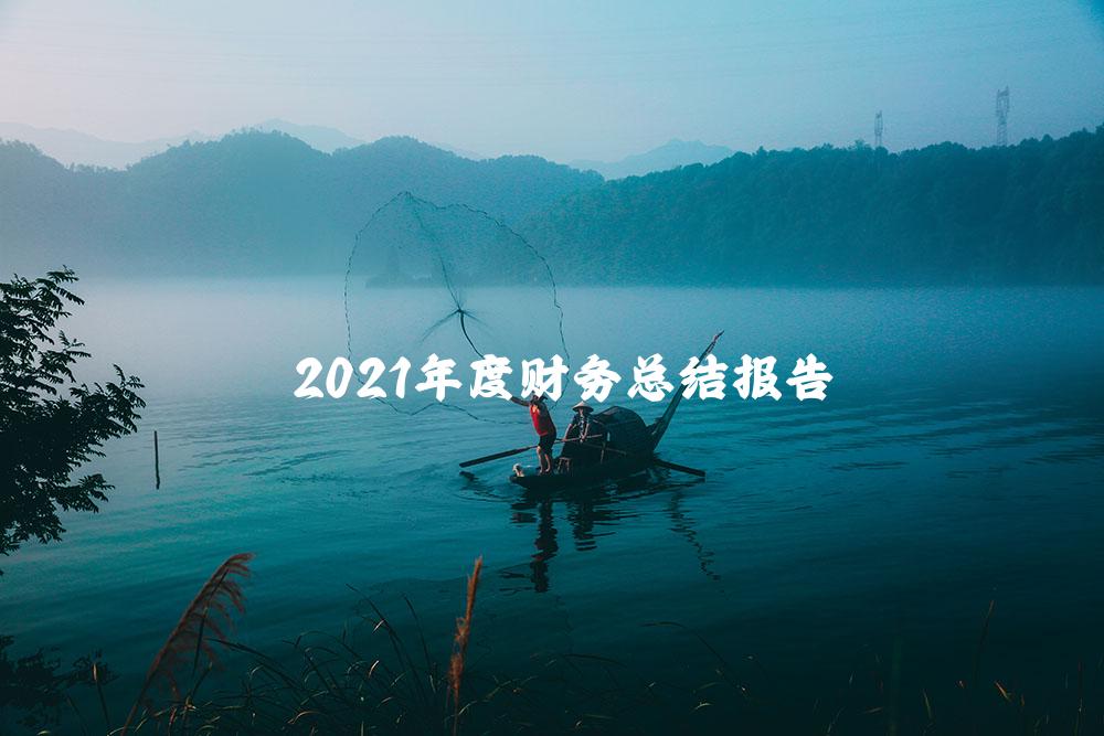 2021年度财务总结报告