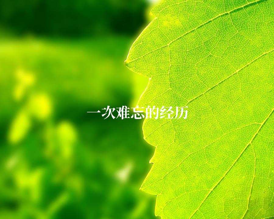 一次难忘的经历