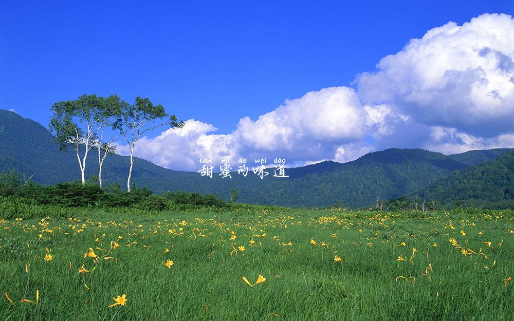 甜蜜的味道