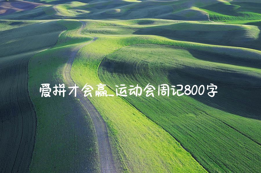 爱拼才会赢_运动会周记800字