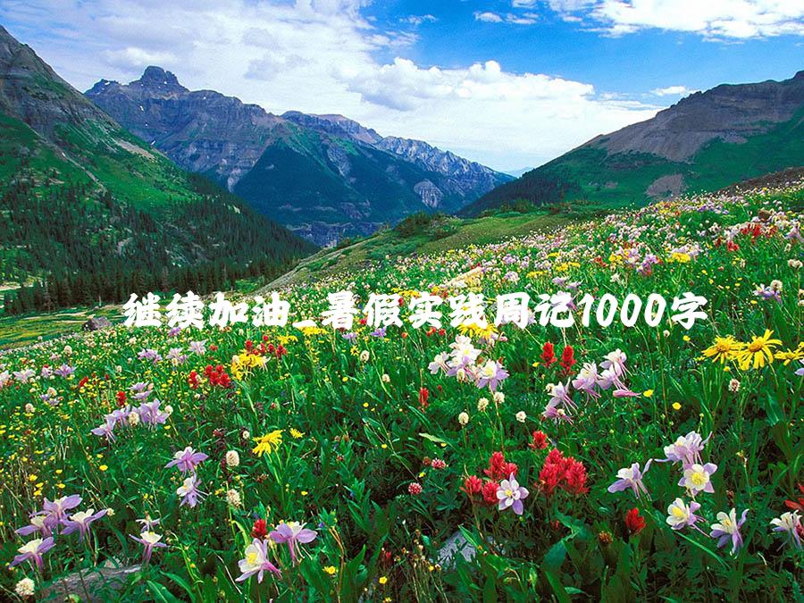 继续加油_暑假实践周记1000字