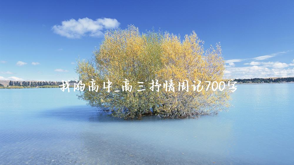 我的高中_高三抒情周记700字