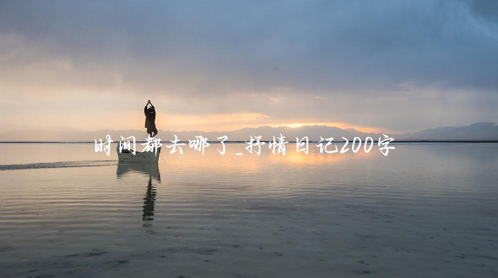 时间都去哪了_抒情日记200字