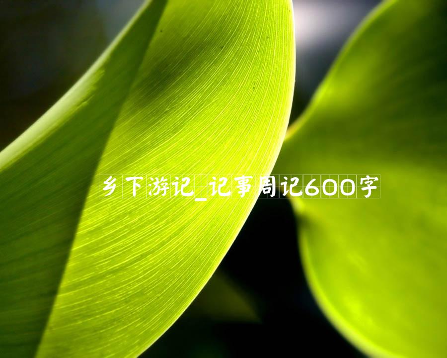 乡下游记_记事周记600字