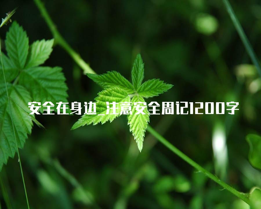 安全在身边_注意安全周记1200字