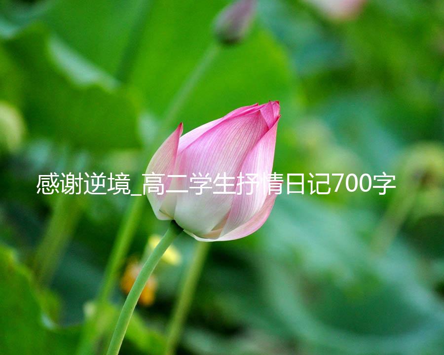 感谢逆境_高二学生抒情日记700字