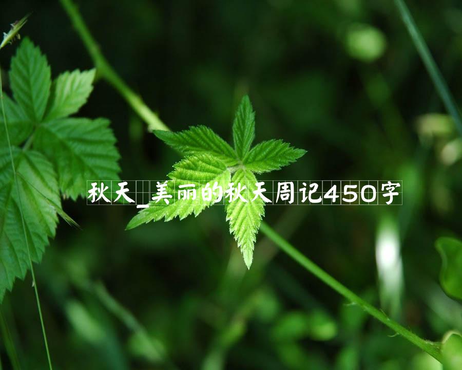 秋天_美丽的秋天周记450字