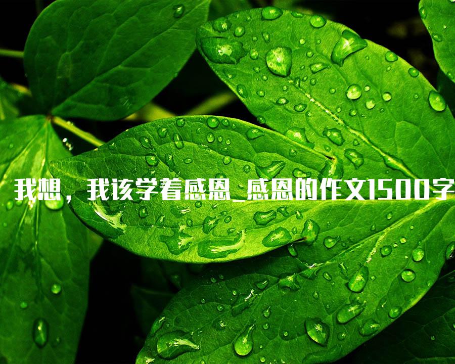 我想，我该学着感恩_感恩的作文1500字