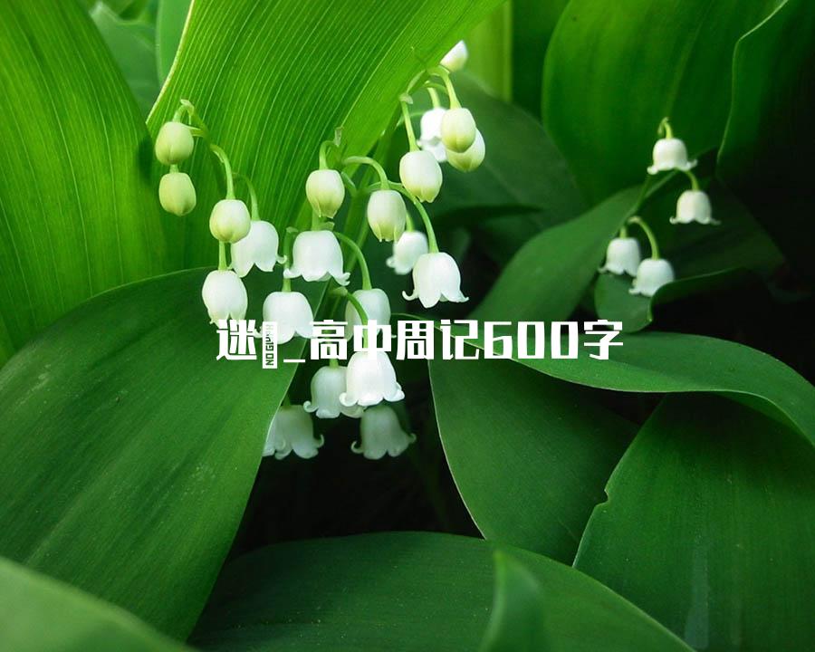 迷惘_高中周记600字