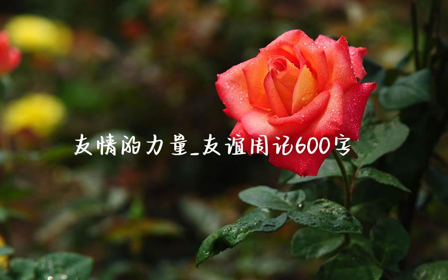 友情的力量_友谊周记600字