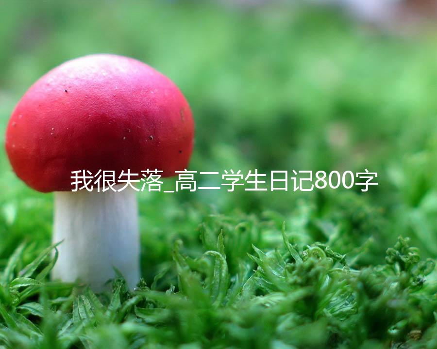 我很失落_高二学生日记800字