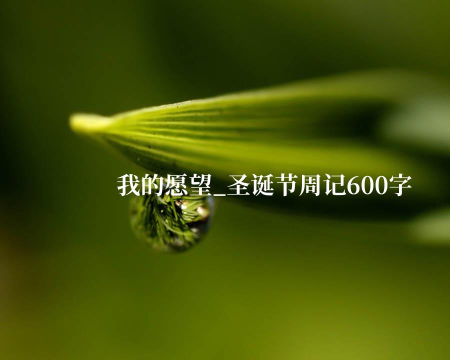 我的愿望_圣诞节周记600字