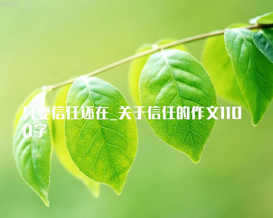 只要信任还在_关于信任的作文1100字