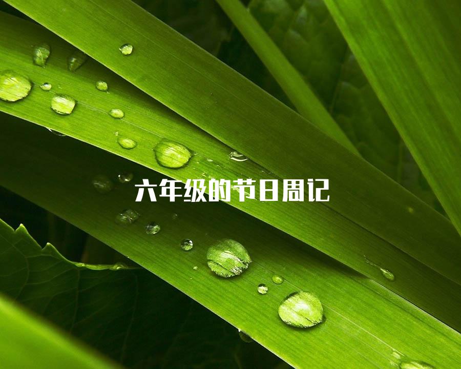 六年级的节日周记