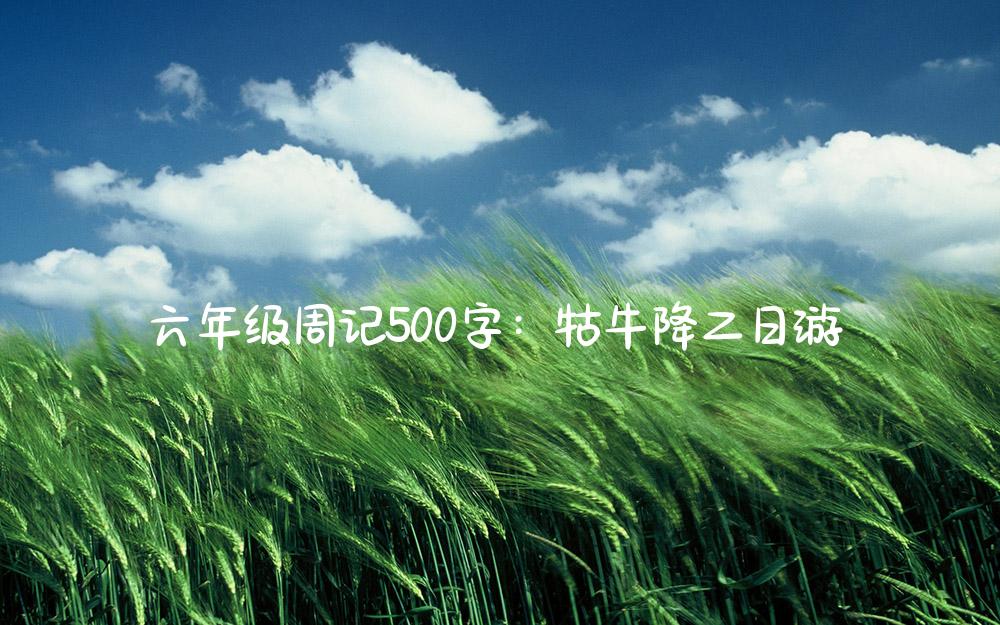 六年级周记500字：牯牛降二日游