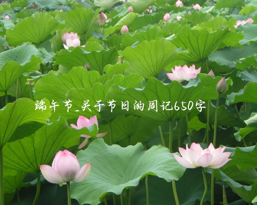 端午节_关于节日的周记650字