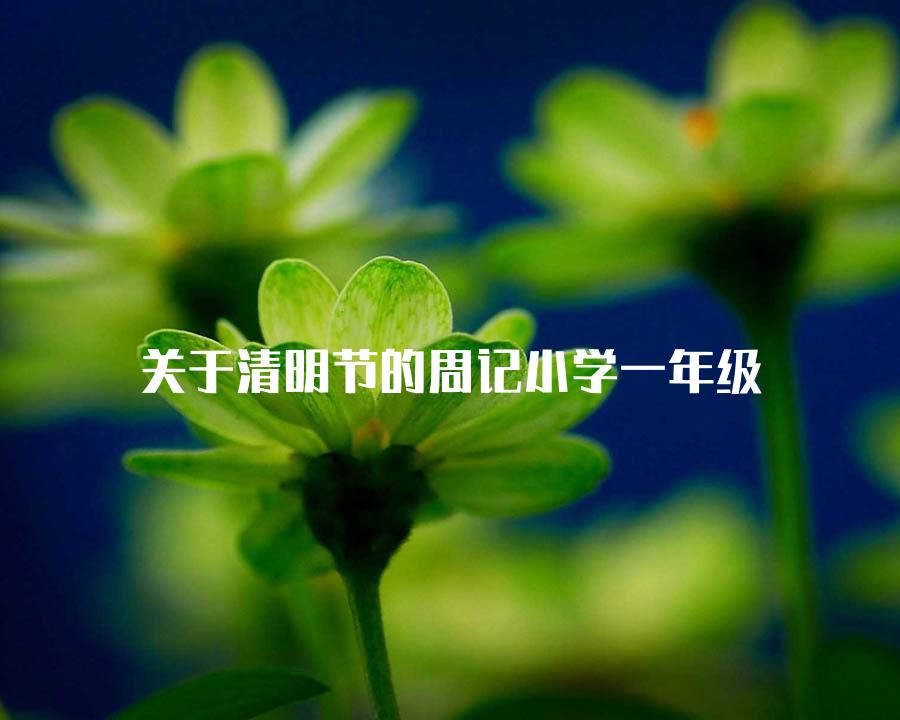 关于清明节的周记小学一年级