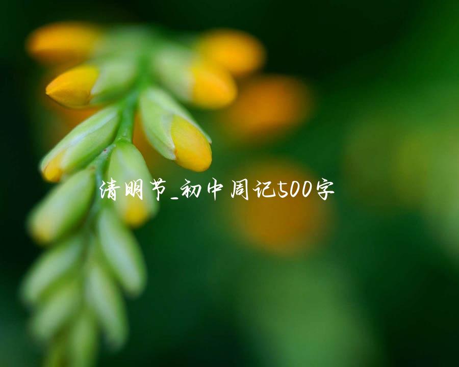 清明节_初中周记500字